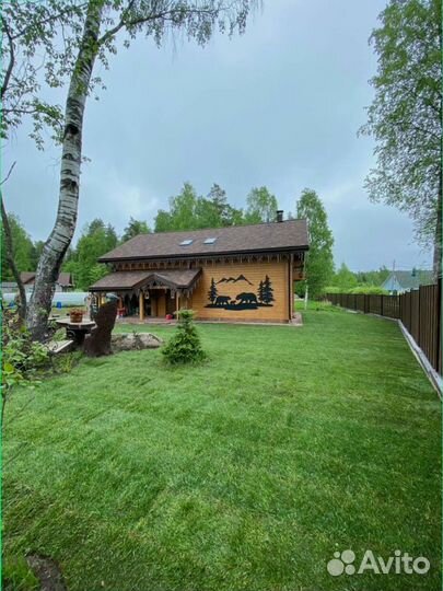 Рулонный газон от производителя