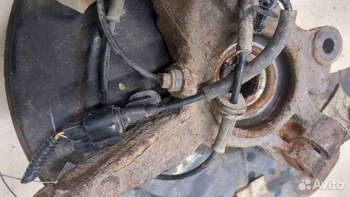 Ступица (кулак, цапфа) Ford EcoSport 2017, 2020