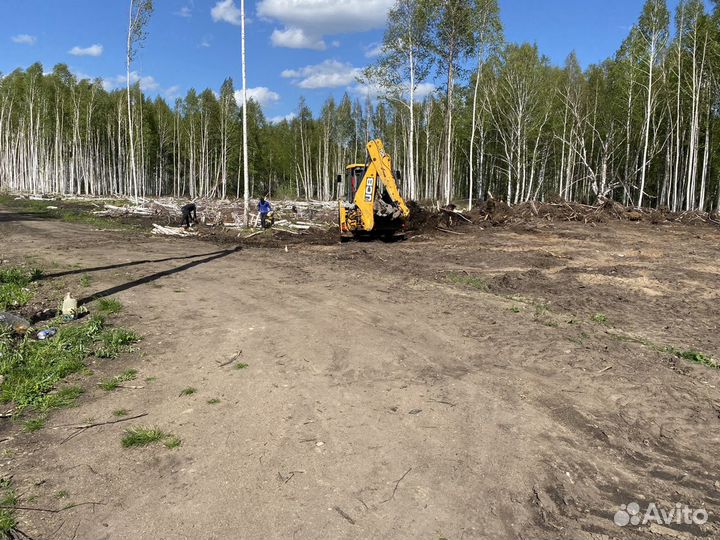 Спил деревьев