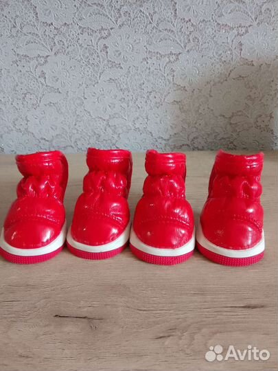 Ботинки для собак мелких пород