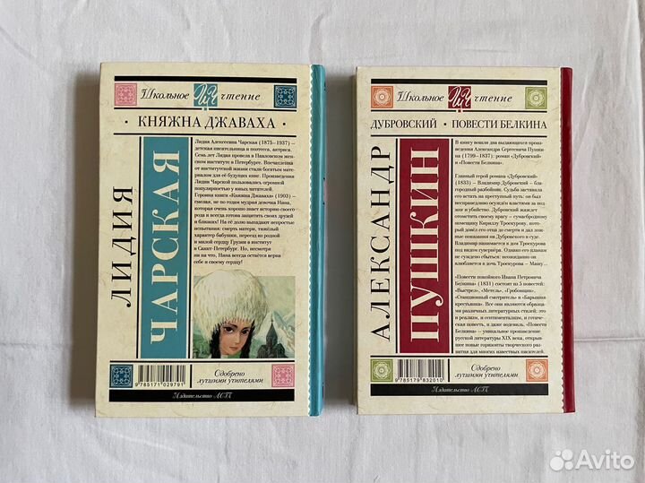 Две книги из «Школьное чтение»: Чарская и Пушкин