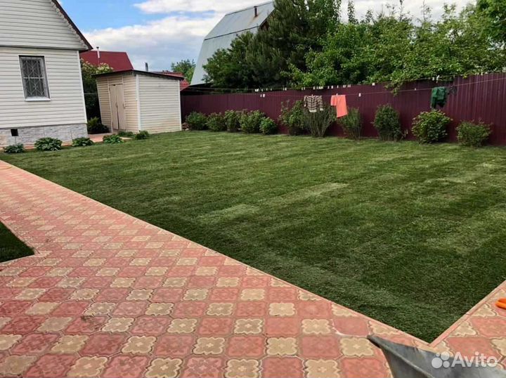 Рулонный газон от производителя