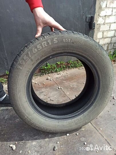 Brasa IceControl 195/65 R15