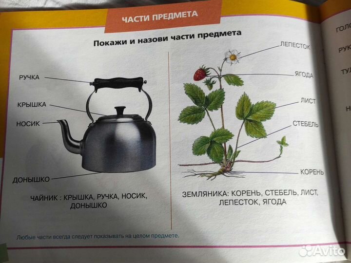 Альбом по развитию речи 3-6 лет