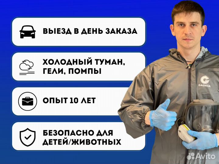 Дезинсекция дома и квартиры от тараканов и клопов