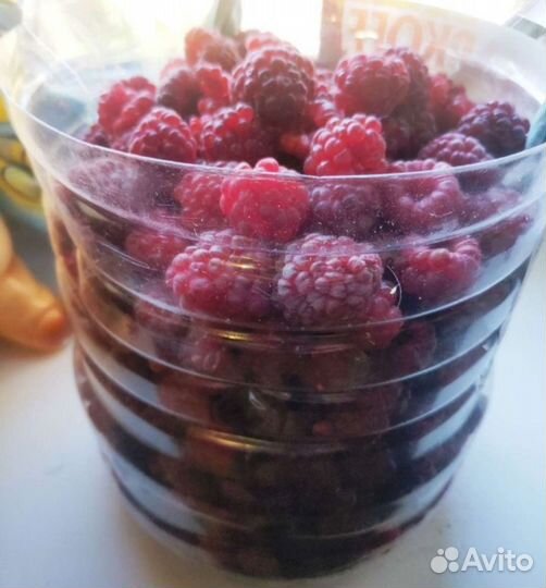 Малина свежая