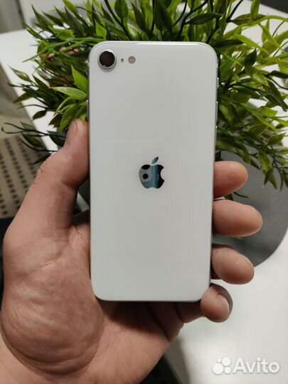 iPhone se 2020 64gb