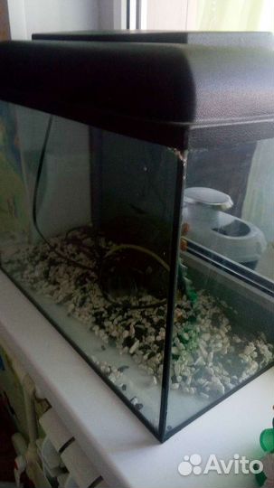 Аквариум с подсветкой,грунтом,фильтром