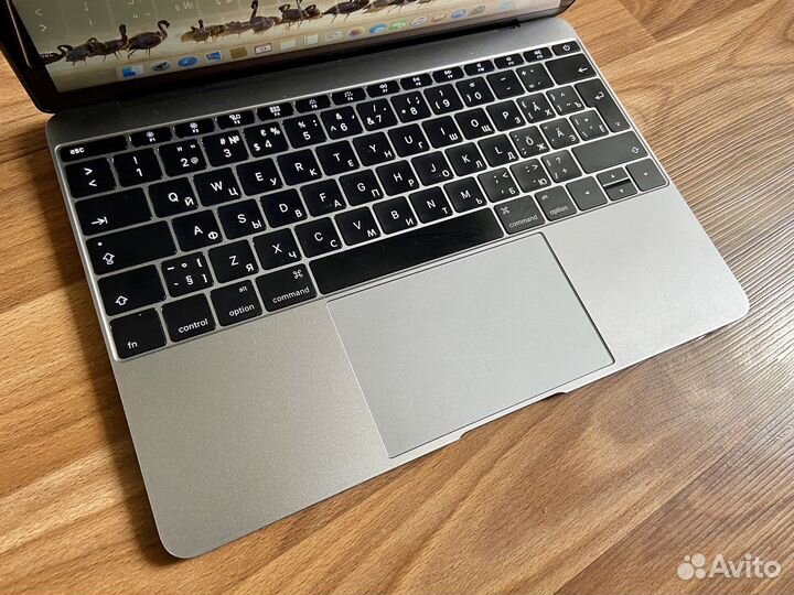 Macbook 12 retina 8/256