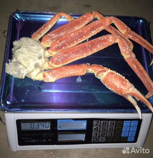 Конечности камчатского краба