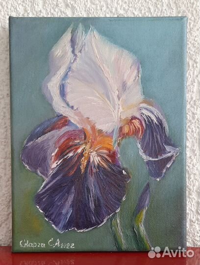 Картина масло холст цветок Ирис ручная работа