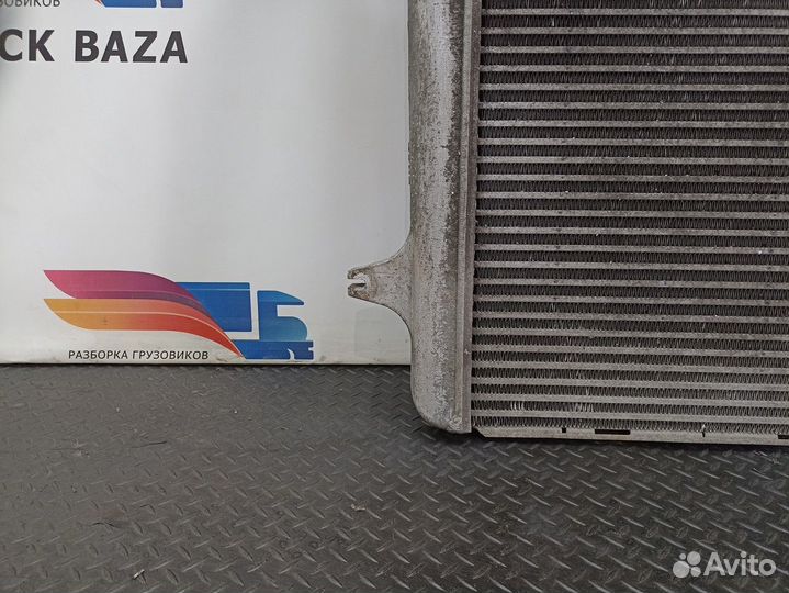 Интеркулер Daf XF105