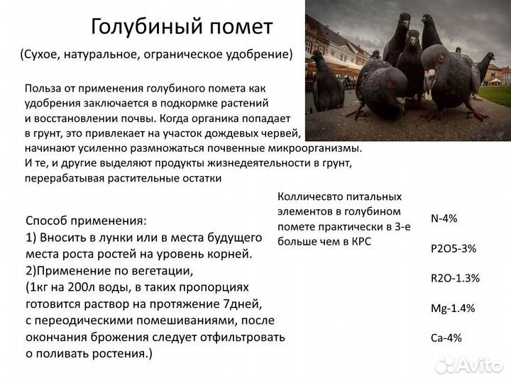 Голубиный помет