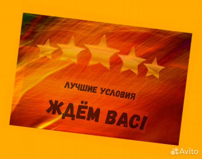 Сортировщик Еженедельный аванс Спецодежда М/Ж