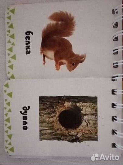 Развивающая книга