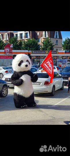 Все для праздника