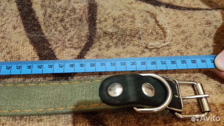 Ошейник брезентовый