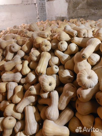 Цветная капуста