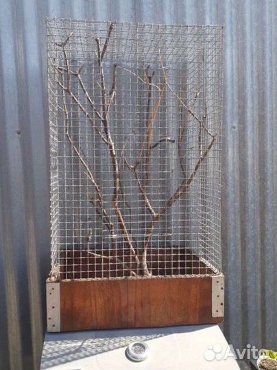 Вольер клетка для птиц