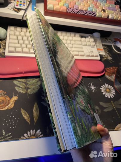 John Brookes Garden Masterclass