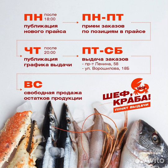 Форель охлажденная Белое море