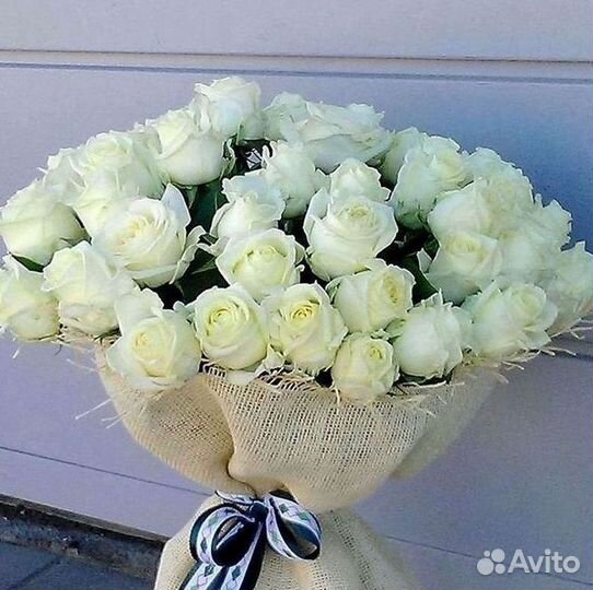 Высокие розы Гигантские Розы 150 160 170 180 190см