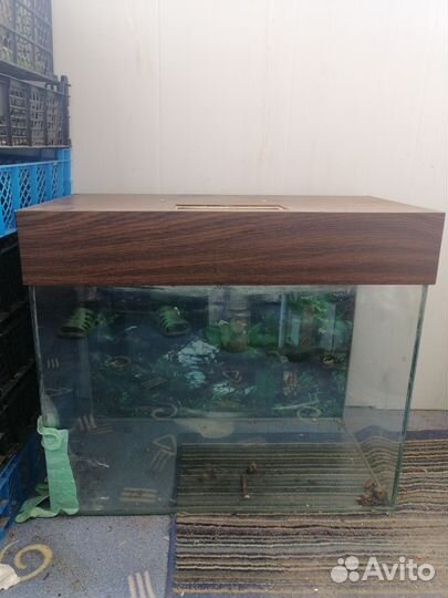 Аквариум