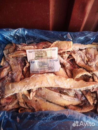 Субпродукты на корм собакам