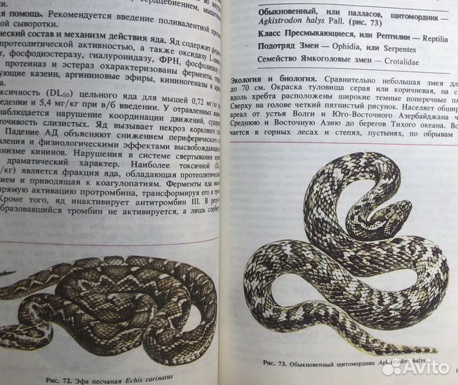 Ядовитые животные и растения СССР. 1990