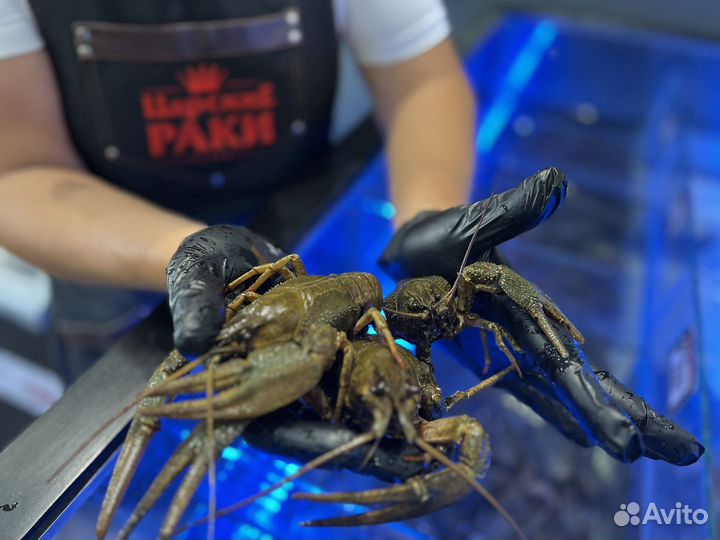 Живые раки с доставкой Местные