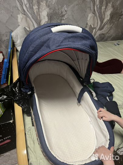 Коляска 3 в 1 Адамекс барлетта