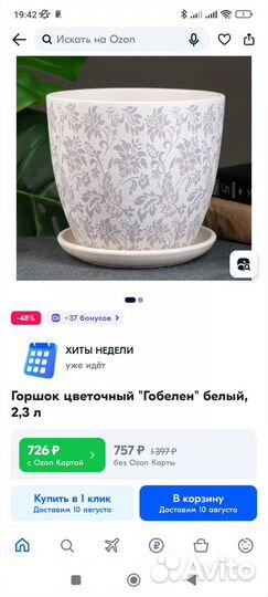 Спатифиллум (женское счастье, женский цветок)