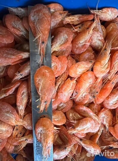 Креветка азовская опт и розница