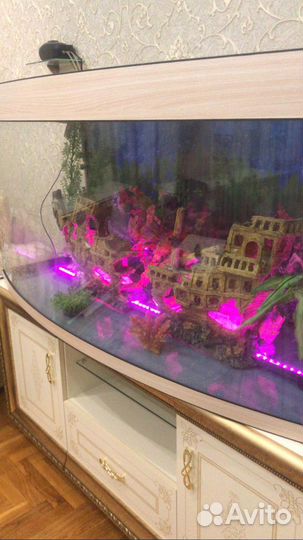 Аквариум