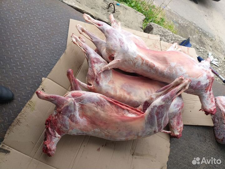 Мясо баранина халяль