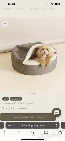 Норка hunting pony XS