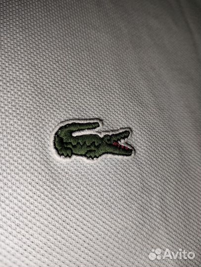 Lacoste polo