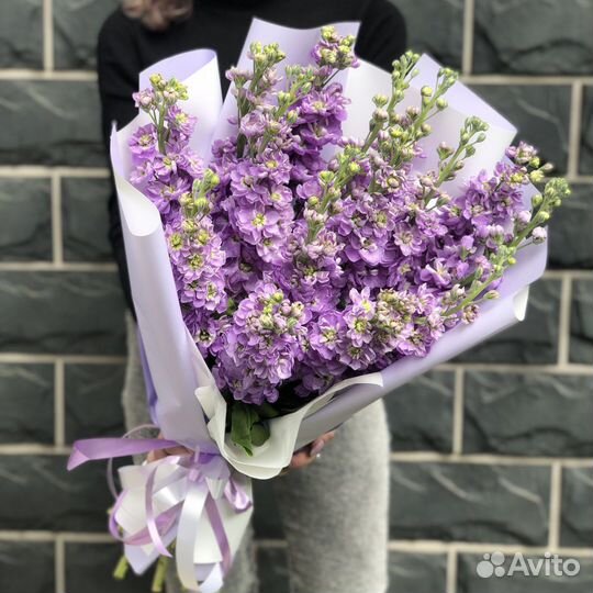 Цветы (матиолла)