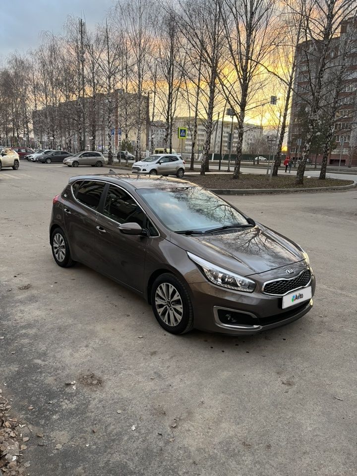 Kia Ceed: фото владельца