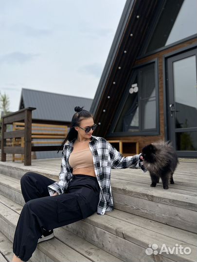 Померанский шпиц вязка