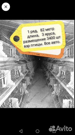 Цех, для содержания птицы, оборудование, обмен