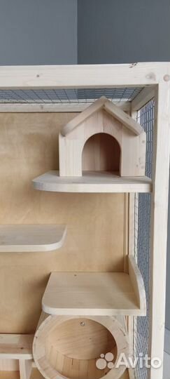 Витрина для шиншилл