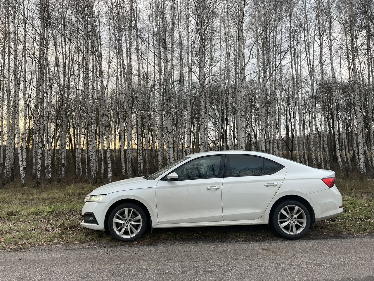 Skoda Octavia: фото владельца
