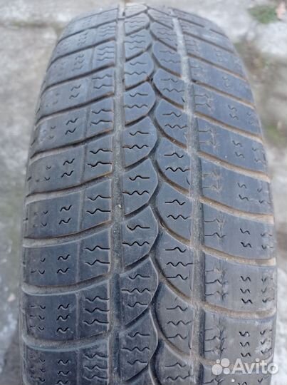 Tigar Winter 1 155/70 R13