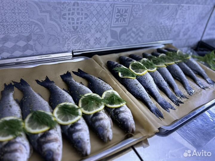 Свежая рыба Дорадо Сибас