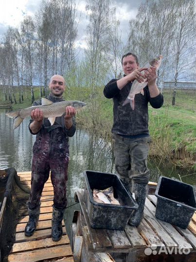 Рыбалка и отдых