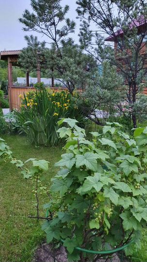 Дом 253 м² на участке 10 сот.