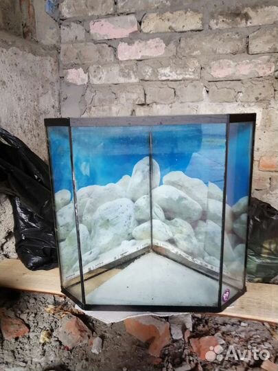 Аквариум