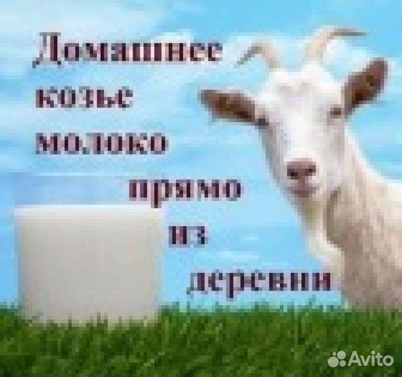 Молочные продукты