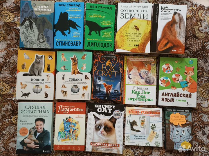 Книги (разное)